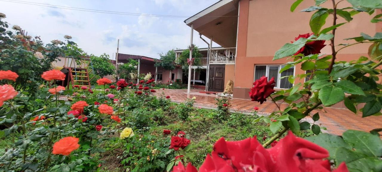 Vip Hostel Turkistan Exterior foto